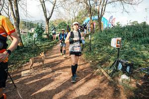 BIB: 
                            <button type="button" onclick="openModal(25646549)" class="btn btn-primary btn-sm float-right btn-popup" data-toggle="modal" data-target=".modal-high-quality">
                        <i class="fas fa-shopping-cart"></i> Add to Cart
                    </button>
                                            <button type="button" onclick="isThisMe(25646549, true)" class="btn btn-success btn-sm float-right btn-popup btn-isme hidden" data-toggle="tooltip" data-placement="bottom" title="นี่คือรูปของคุณใช่ไหม คลิกที่นี่เพื่อเอาเข้าอัลบั้ม">
                        <i class="fas fa-plus"></i> Add to album
                    </button>
                    <button type="button" onclick="isThisMe(25646549, false)" class="btn btn-warning btn-sm float-right btn-popup btn-isnotme hidden">
                        <i class="fas fa-ban"></i> Remove from album
                    </button>